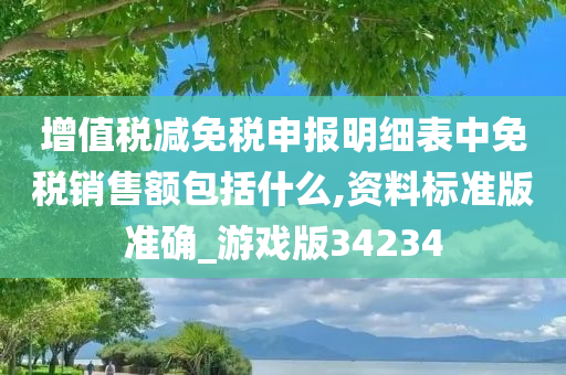 增值税减免税申报明细表中免税销售额包括什么,资料标准版准确_游戏版34234