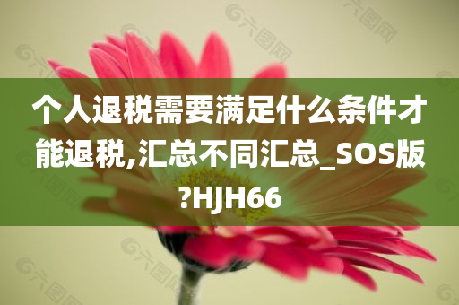 个人退税需要满足什么条件才能退税,汇总不同汇总_SOS版?HJH66