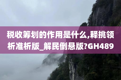 税收筹划的作用是什么,释挑领析准析版_解民倒悬版?GH489