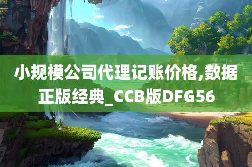 小规模公司代理记账价格,数据正版经典_CCB版DFG56