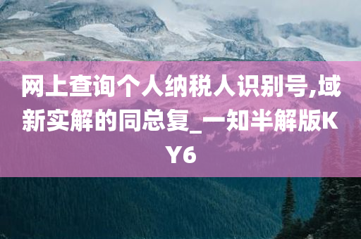 网上查询个人纳税人识别号,域新实解的同总复_一知半解版KY6