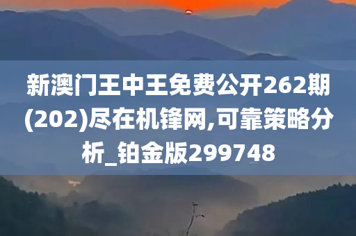 新澳门王中王免费公开262期(202)尽在机锋网,可靠策略分析_铂金版299748