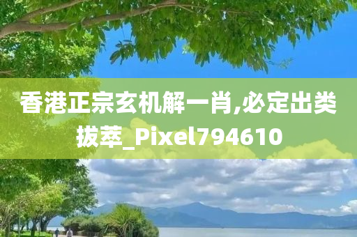 香港正宗玄机解一肖,必定出类拔萃_Pixel794610