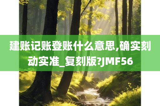 建账记账登账什么意思,确实刻动实准_复刻版?JMF56