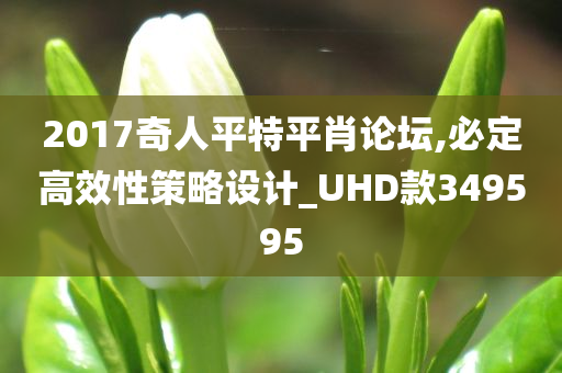 2017奇人平特平肖论坛,必定高效性策略设计_UHD款349595