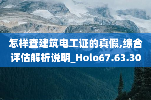 怎样查建筑电工证的真假,综合评估解析说明_Holo67.63.30