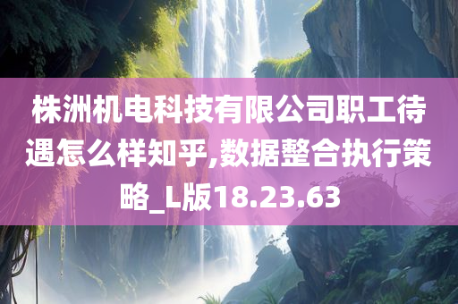 株洲机电科技有限公司职工待遇怎么样知乎,数据整合执行策略_L版18.23.63