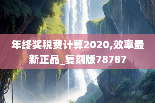 年终奖税费计算2020,效率最新正品_复刻版78787