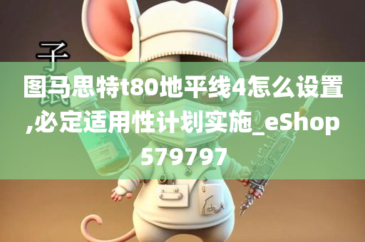 图马思特t80地平线4怎么设置,必定适用性计划实施_eShop579797