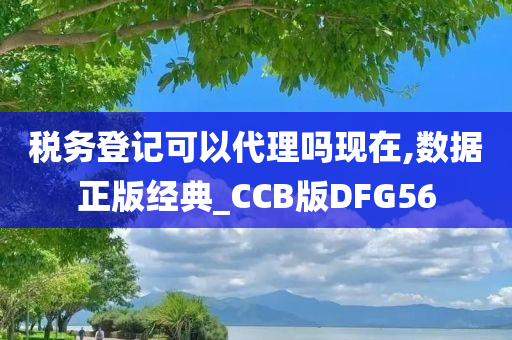 税务登记可以代理吗现在,数据正版经典_CCB版DFG56