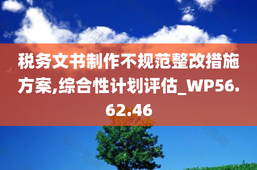 税务文书制作不规范整改措施方案,综合性计划评估_WP56.62.46