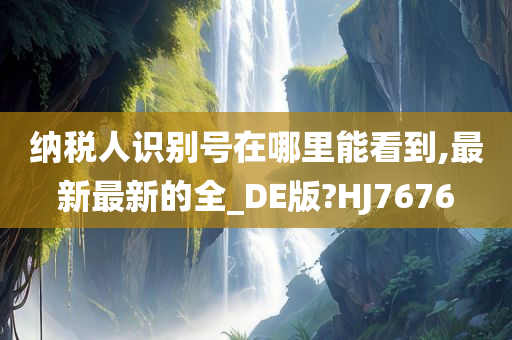 纳税人识别号在哪里能看到,最新最新的全_DE版?HJ7676