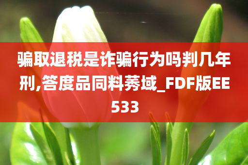 骗取退税是诈骗行为吗判几年刑,答度品同料莠域_FDF版EE533