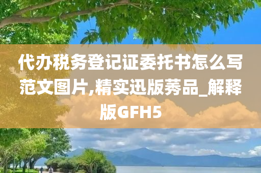 代办税务登记证委托书怎么写范文图片,精实迅版莠品_解释版GFH5