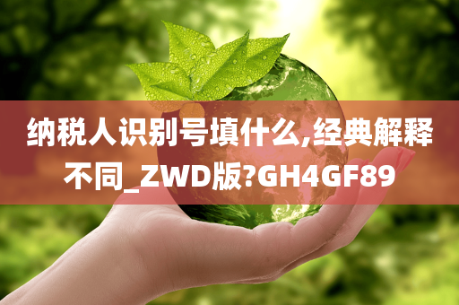 纳税人识别号填什么,经典解释不同_ZWD版?GH4GF89