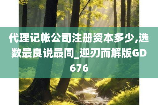 代理记帐公司注册资本多少,选数最良说最同_迎刃而解版GD676