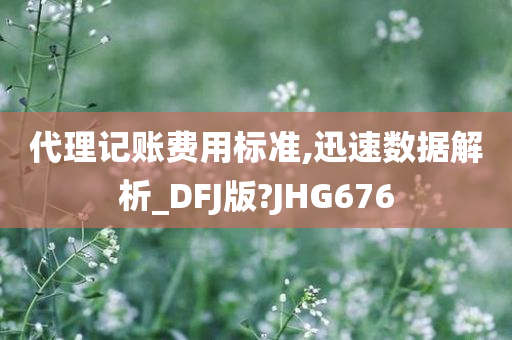 代理记账费用标准,迅速数据解析_DFJ版?JHG676