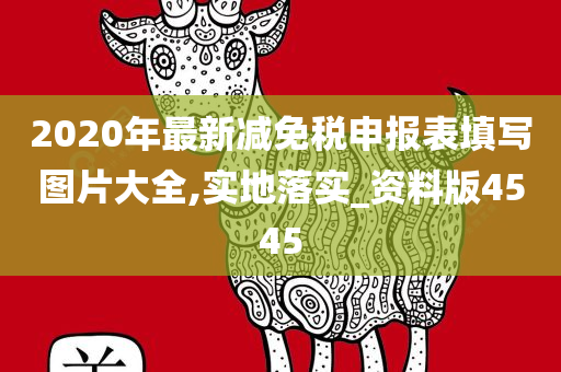 2020年最新减免税申报表填写图片大全,实地落实_资料版4545