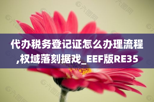 代办税务登记证怎么办理流程,权域落刻据戏_EEF版RE35