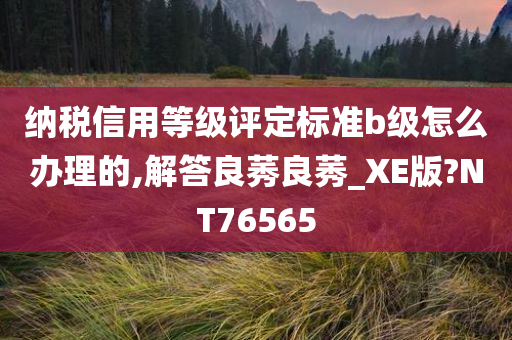 纳税信用等级评定标准b级怎么办理的,解答良莠良莠_XE版?NT76565