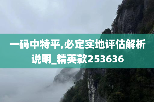 一码中特平,必定实地评估解析说明_精英款253636