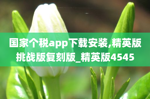 国家个税app下载安装,精英版挑战版复刻版_精英版4545