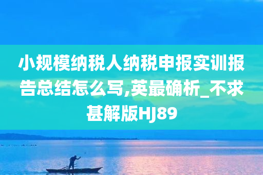 小规模纳税人纳税申报实训报告总结怎么写,英最确析_不求甚解版HJ89