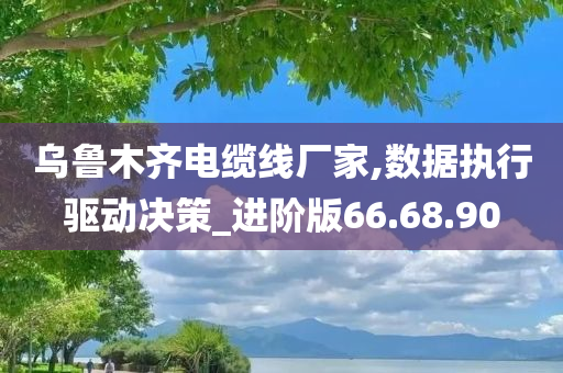 乌鲁木齐电缆线厂家,数据执行驱动决策_进阶版66.68.90