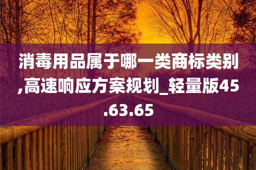 消毒用品属于哪一类商标类别,高速响应方案规划_轻量版45.63.65