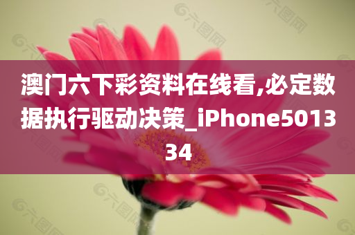 澳门六下彩资料在线看,必定数据执行驱动决策_iPhone501334