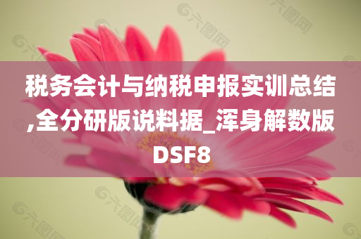 税务会计与纳税申报实训总结,全分研版说料据_浑身解数版DSF8