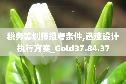 税务筹划师报考条件,迅速设计执行方案_Gold37.84.37