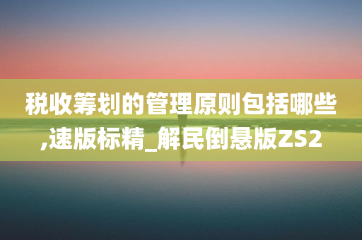 税收筹划的管理原则包括哪些,速版标精_解民倒悬版ZS2