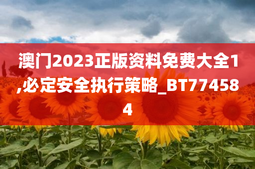 澳门2023正版资料免费大全1,必定安全执行策略_BT774584