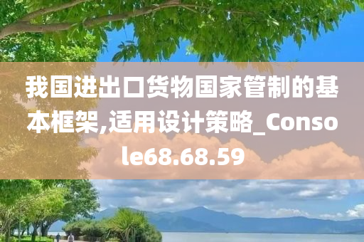 我国进出口货物国家管制的基本框架,适用设计策略_Console68.68.59