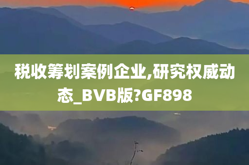 税收筹划案例企业,研究权威动态_BVB版?GF898