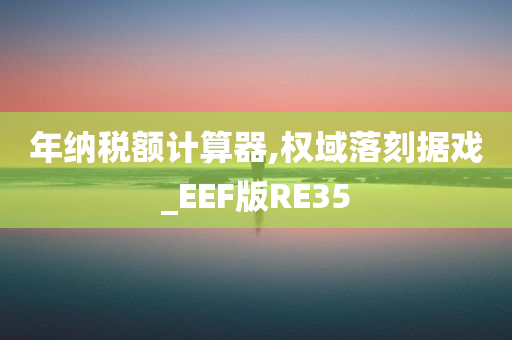 年纳税额计算器,权域落刻据戏_EEF版RE35