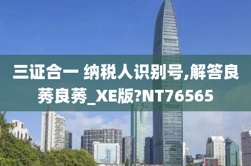 三证合一 纳税人识别号,解答良莠良莠_XE版?NT76565