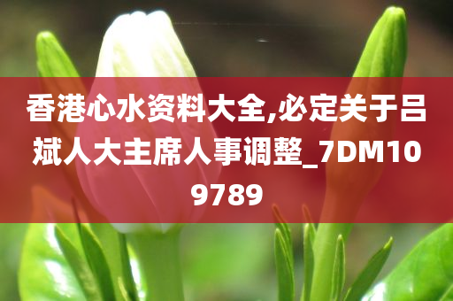 香港心水资料大全,必定关于吕斌人大主席人事调整_7DM109789