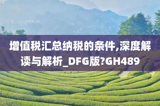 增值税汇总纳税的条件,深度解读与解析_DFG版?GH489