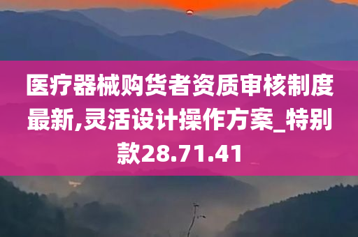 医疗器械购货者资质审核制度最新,灵活设计操作方案_特别款28.71.41