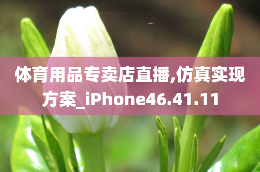 体育用品专卖店直播,仿真实现方案_iPhone46.41.11