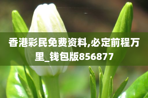 香港彩民免费资料,必定前程万里_钱包版856877