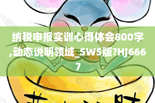 纳税申报实训心得体会800字,动态说明领域_SWS版?HJ6667