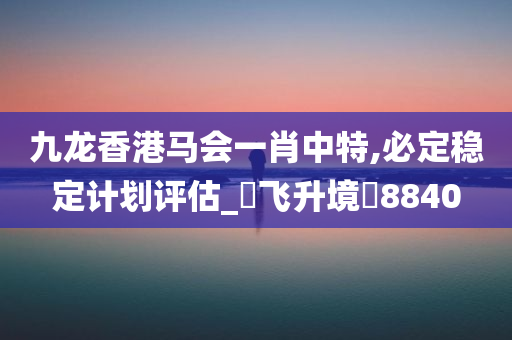 九龙香港马会一肖中特,必定稳定计划评估_‌飞升境‌8840