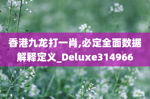 香港九龙打一肖,必定全面数据解释定义_Deluxe314966