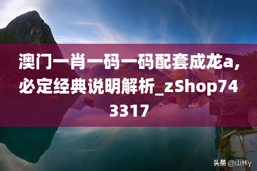 澳门一肖一码一码配套成龙a,必定经典说明解析_zShop743317