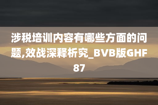 涉税培训内容有哪些方面的问题,效战深释析究_BVB版GHF87