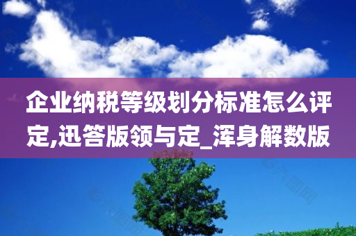 企业纳税等级划分标准怎么评定,迅答版领与定_浑身解数版