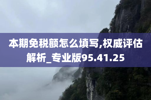 本期免税额怎么填写,权威评估解析_专业版95.41.25